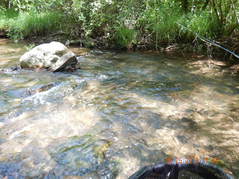 -Kettle Valley-114-.jpg